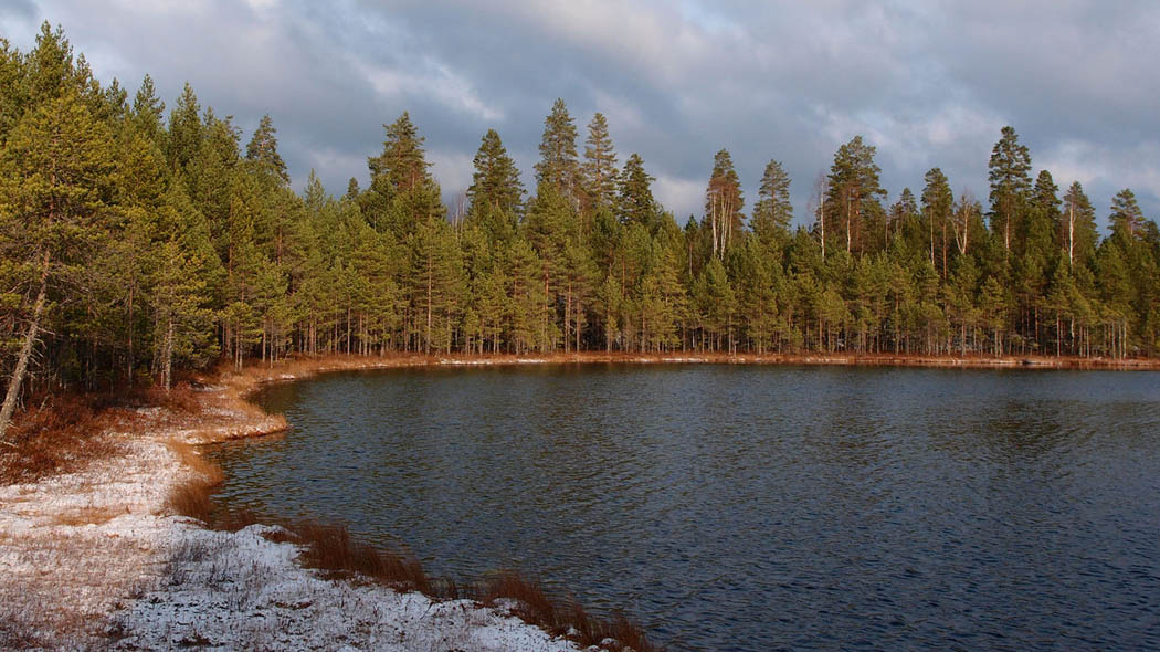 Autumn pond shore, forest around. A little snow on the ground.