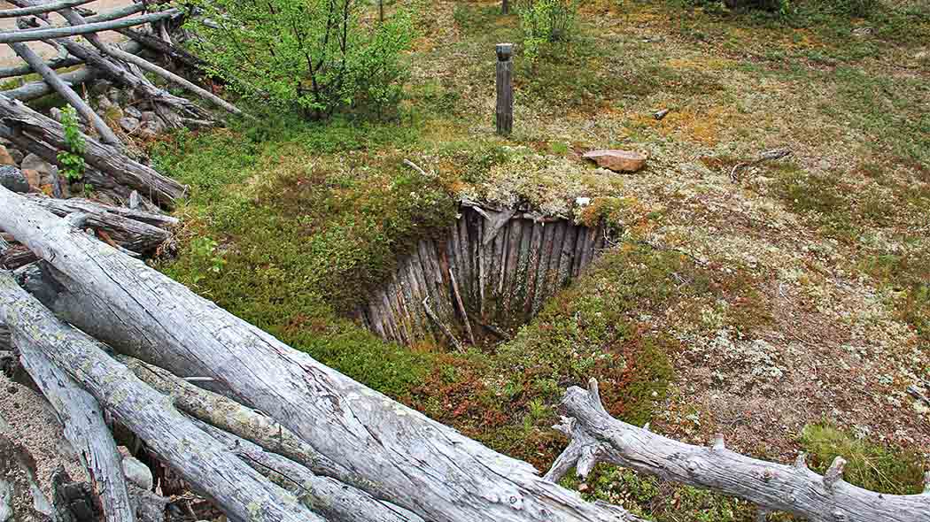 In the middle is a ground pit with wooden heads at the edges. Lichen soil around the pit.