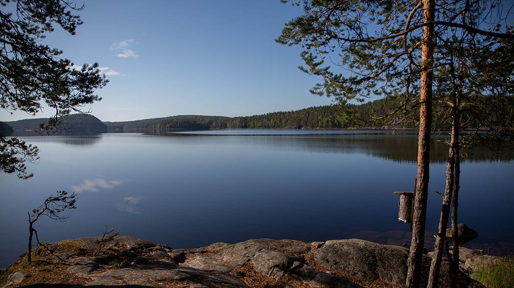 Calm lake surface. Rocky beach and forest in the landscape. It's a sunny morning.