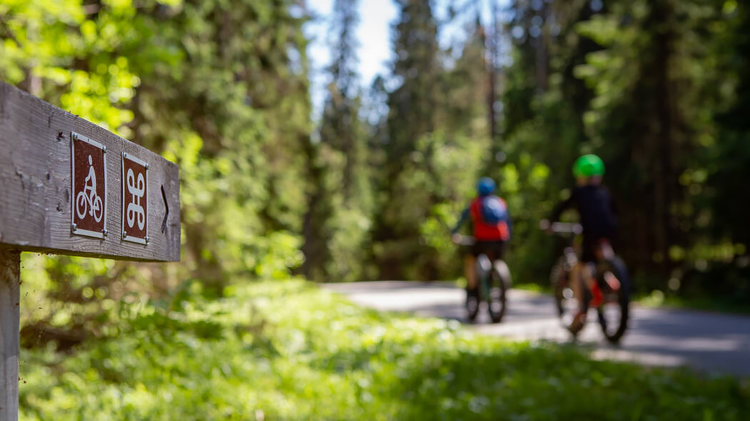 Bike trail signs and cyclists on a forest road.