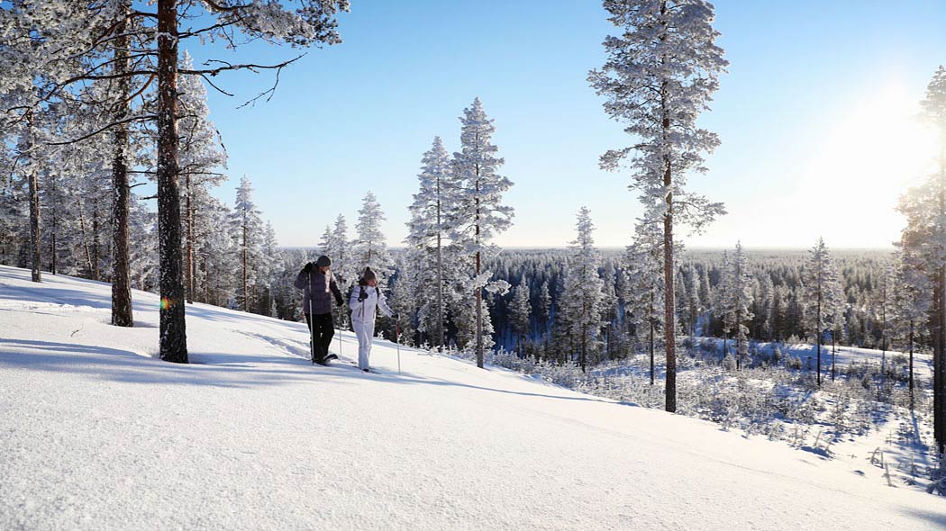 Two skiers on hill in a snowy landscape. Sun shines.