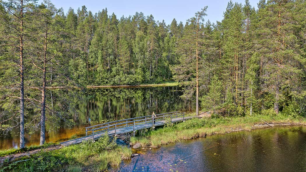 The surface of the lake is calm and reflects the trees.