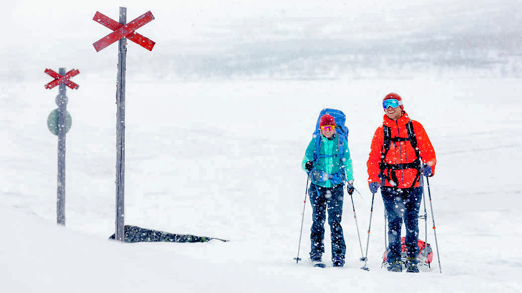 Two skiers in the snowfall.