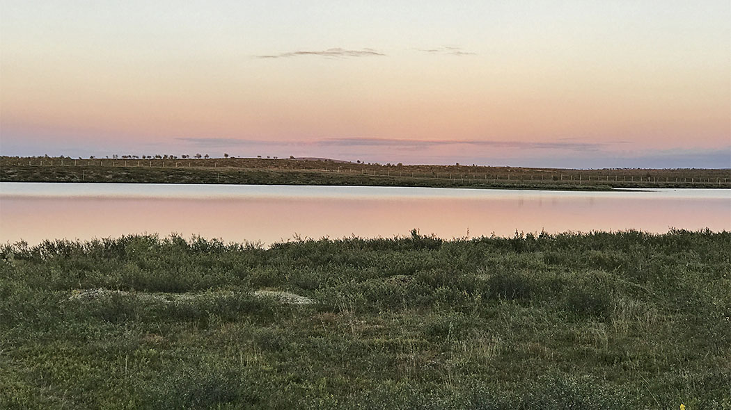 A pale red sky with green grass in the foreground and a blue lake in the center of the image. A reindeer fence is visible behind the lake.