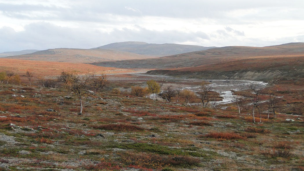 Colorful landscape photographed from the fell to the river valley. Fell peaks in the background, yellow-leaved birch trees in the foreground.