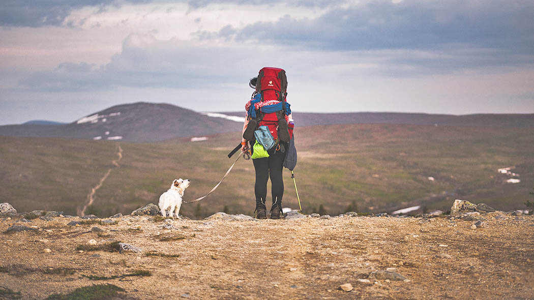 A hiker stands on an open fell top and looks down at the landscape. Several fells can be seen on the horizon. It's a summer night.