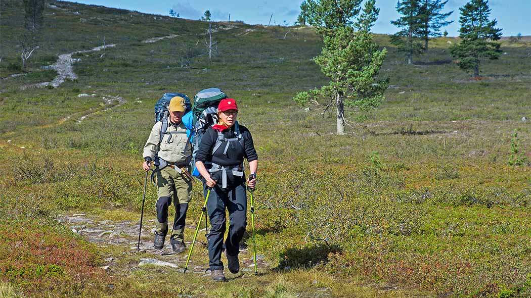 Hetta - Pallas Hiking Trail, 55 km - Nationalparks.fi