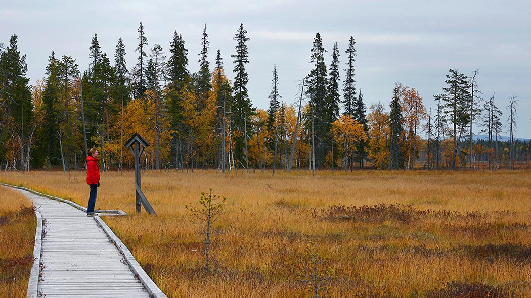 A hiker at Sokanaapa Nature Trail, on Luiro mire area. Photo: Pia Jaakola.