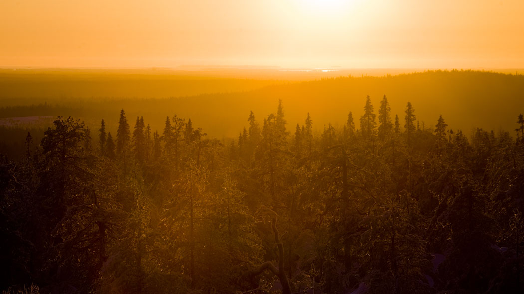 The warm yellow-orange light passes through the hazy forest. The fell ridges appear against the sunshine and a lake can be seen where the land and sky meets.