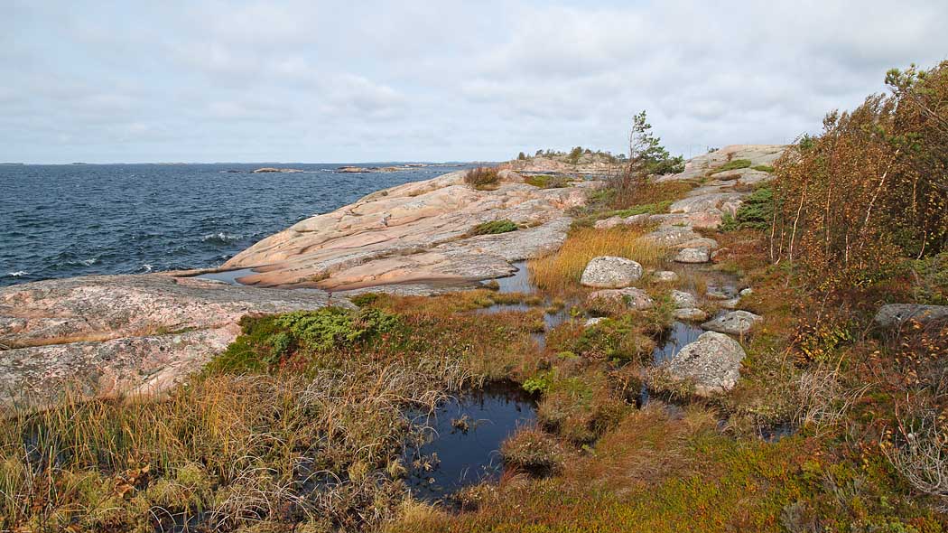 Rocky coast in autumn.