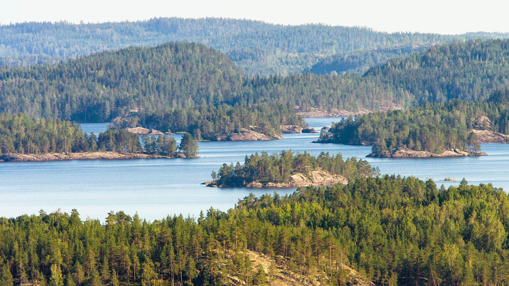 Forested archipelago landscape.