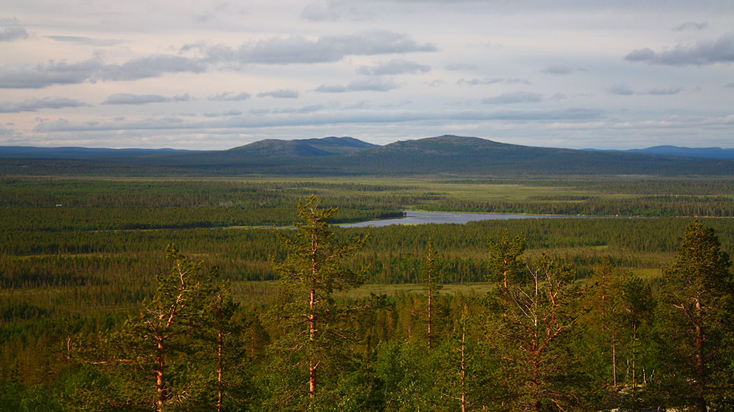 A summer landscape of a mountain surrounded by swamps.