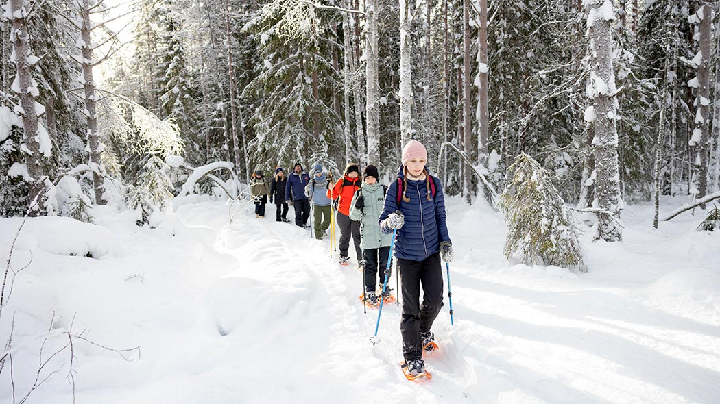 A group of snowshoers queues up in a winter forest.