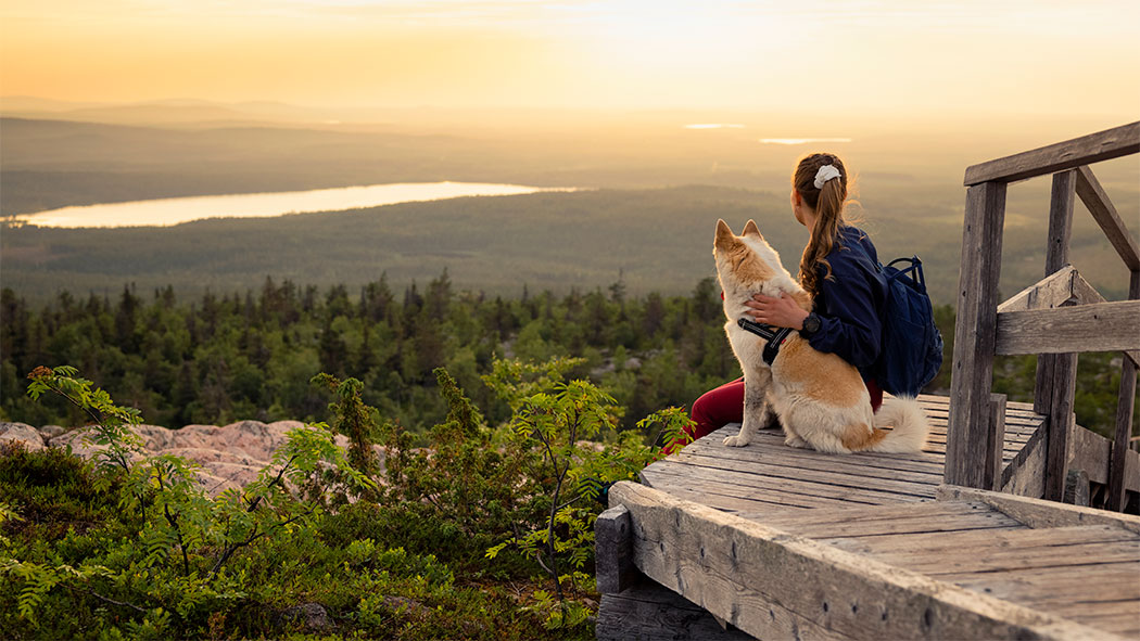 A woman and a dog sit on a wooden structure and look towards a sunny distant view from high up.